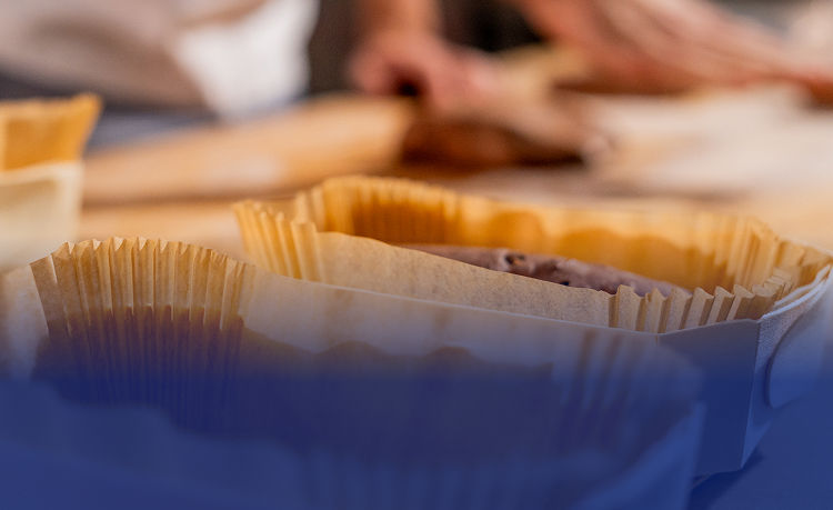 Banner Home PANIBOIS Mob