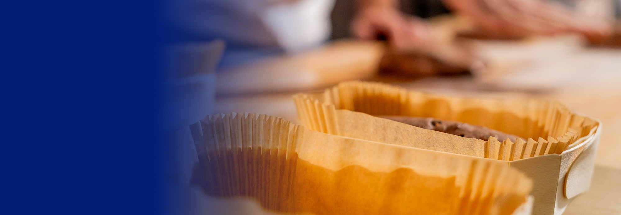 Banner Home PANIBOIS